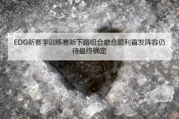 EDG新赛季训练赛新下路组合磨合顺利首发阵容仍待最终确定